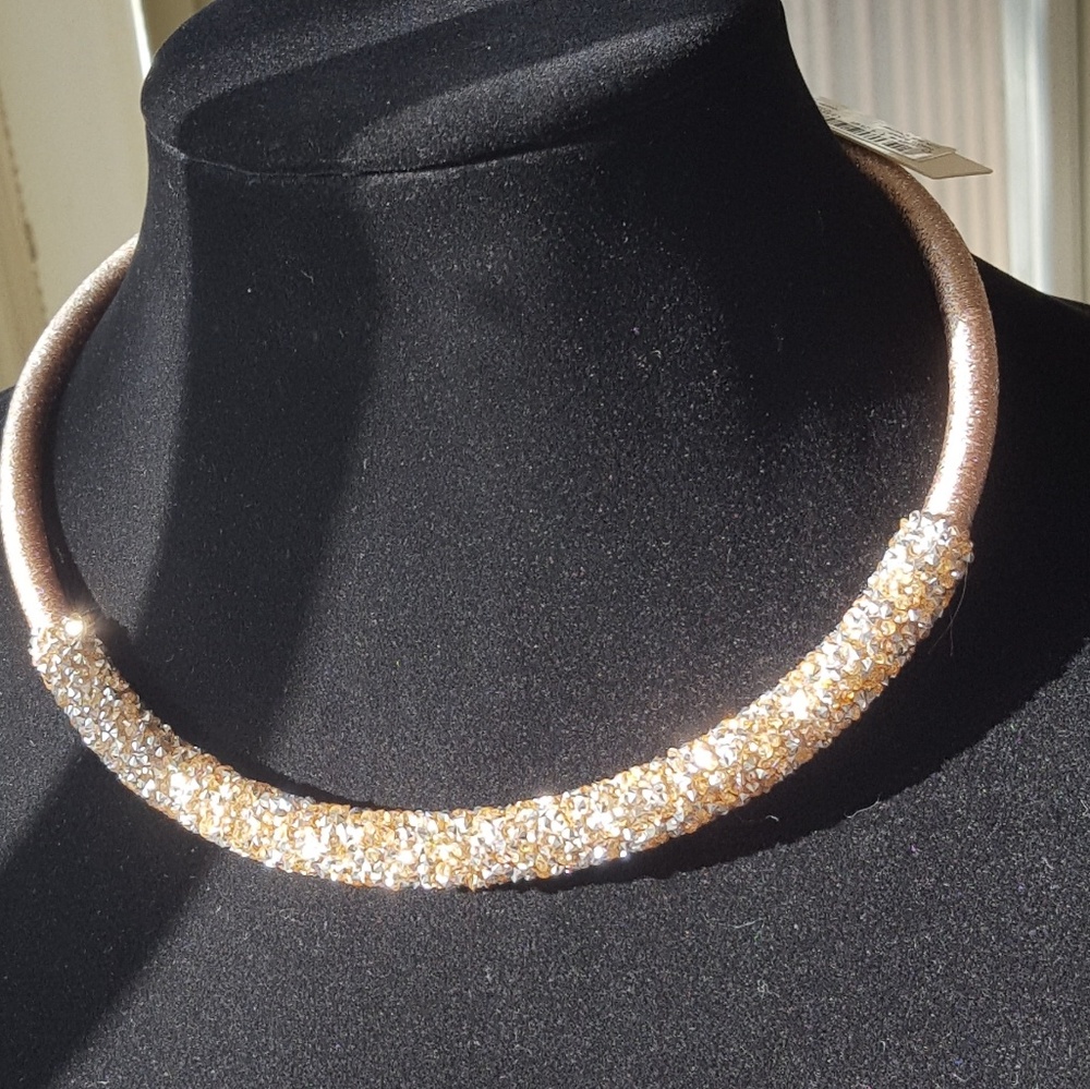 Amrita Singh  "Darcy Collar"